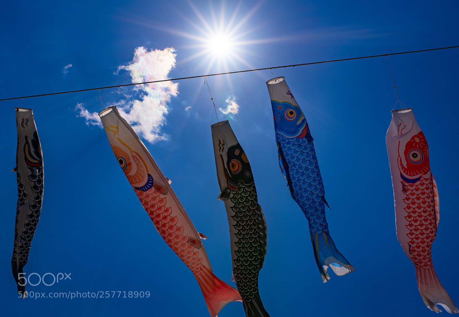 Nikon D750 sample photo. Carp streamer &  glowing clouds photography