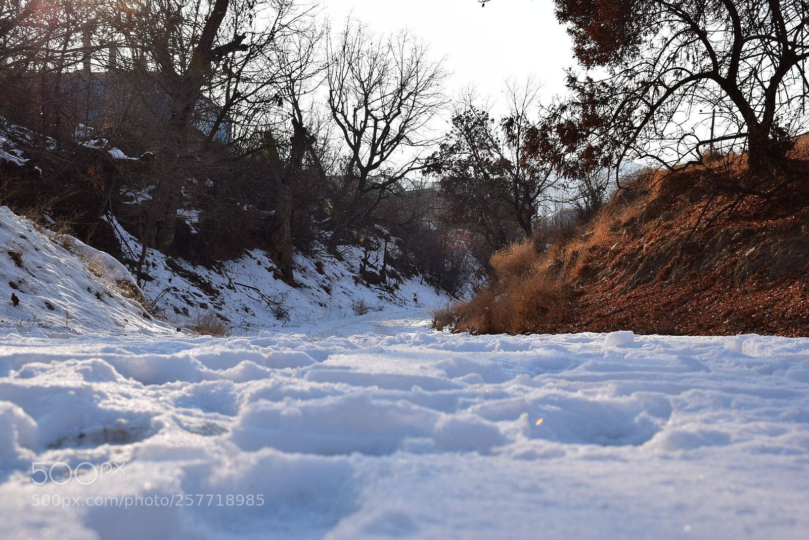 Nikon D5300 sample photo. Snow photography