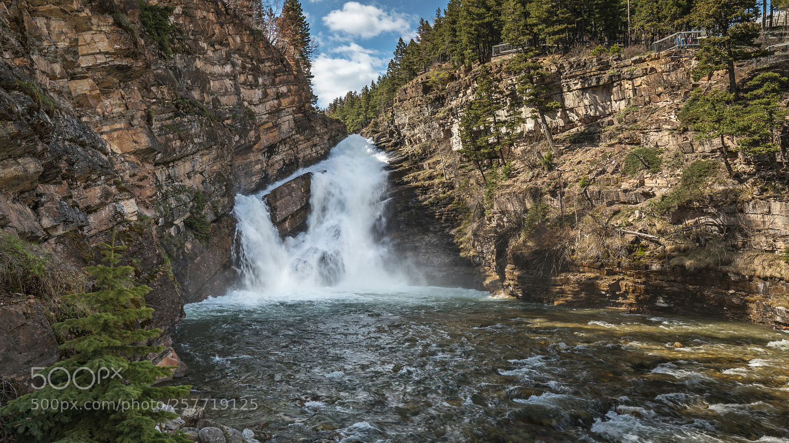 Canon EOS 5D Mark IV sample photo. Cameron falls photography