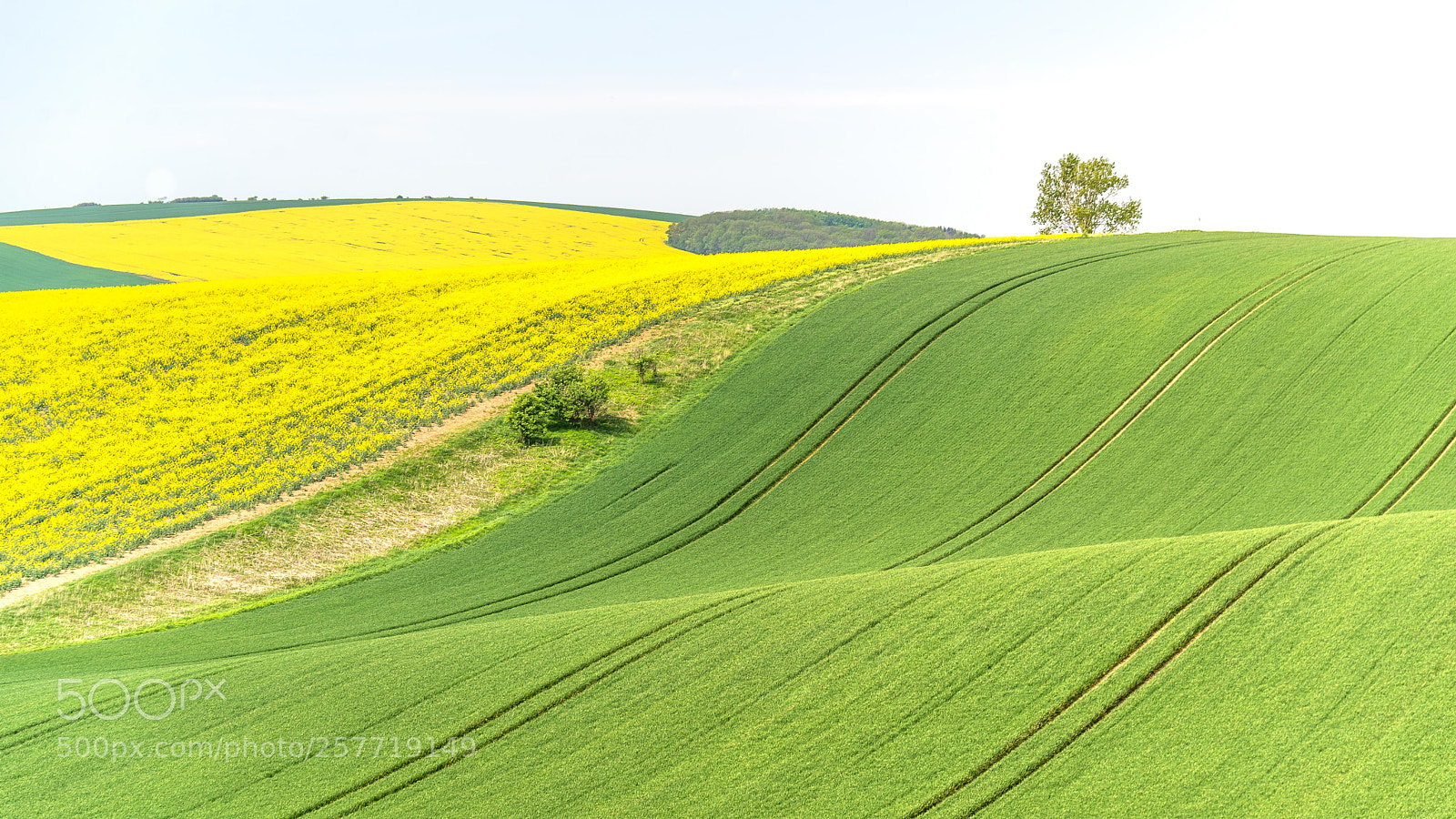 Nikon D610 sample photo. Southern moravia photography