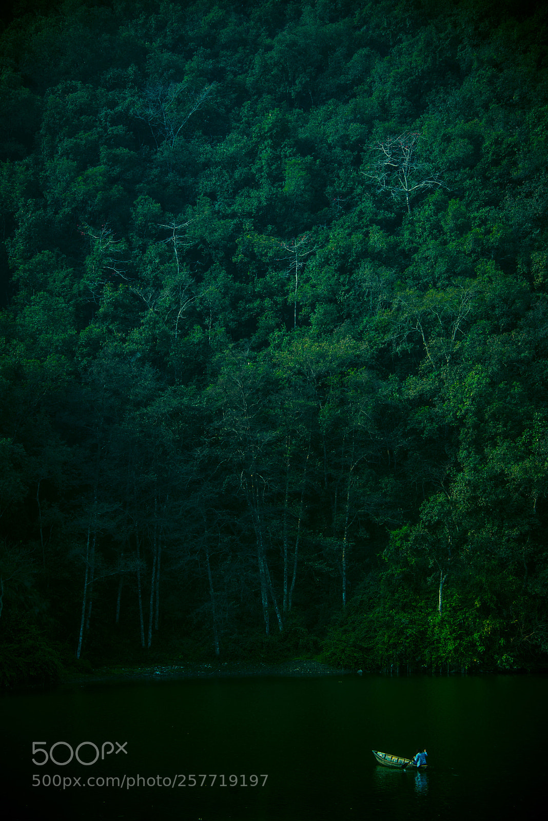 Nikon D610 sample photo. Boat photography