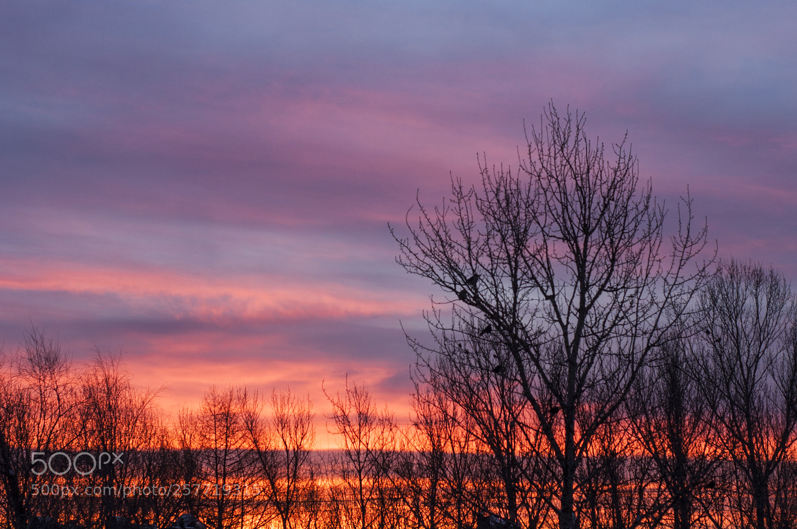 Nikon D90 sample photo. Dawn photography