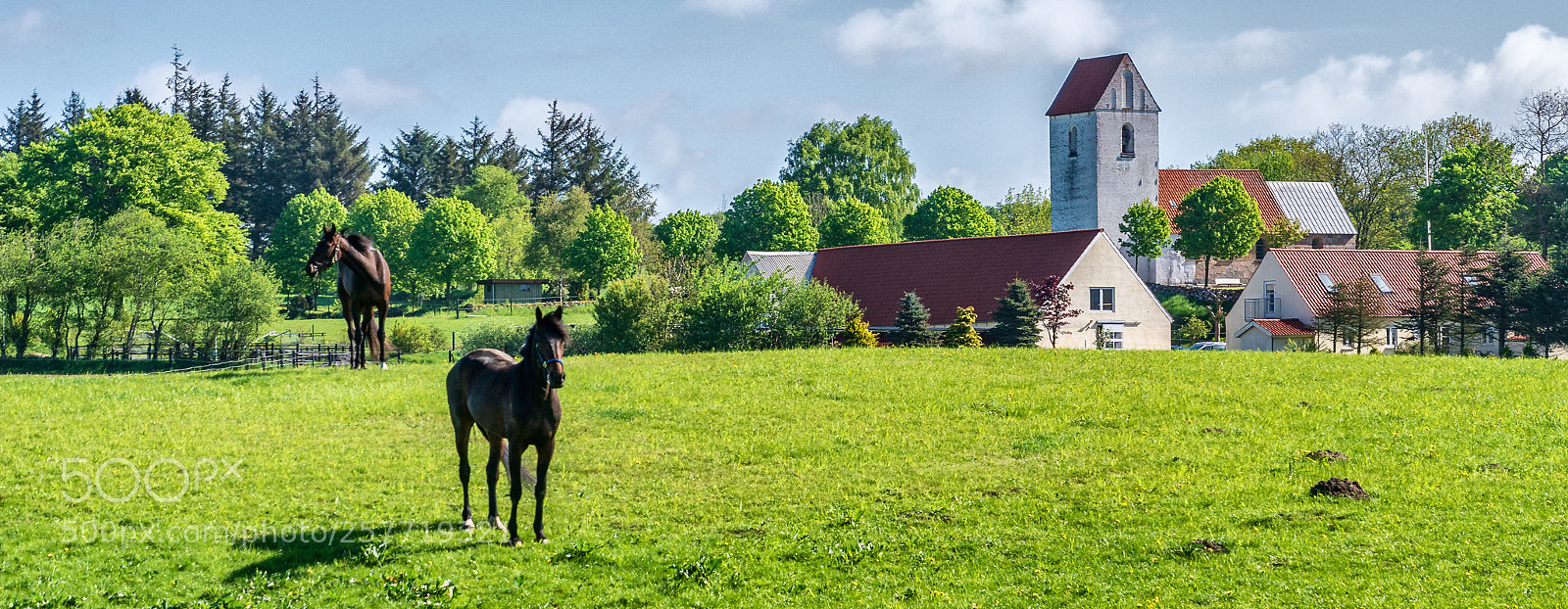 Sony ILCA-77M2 sample photo. Danish countryside photography