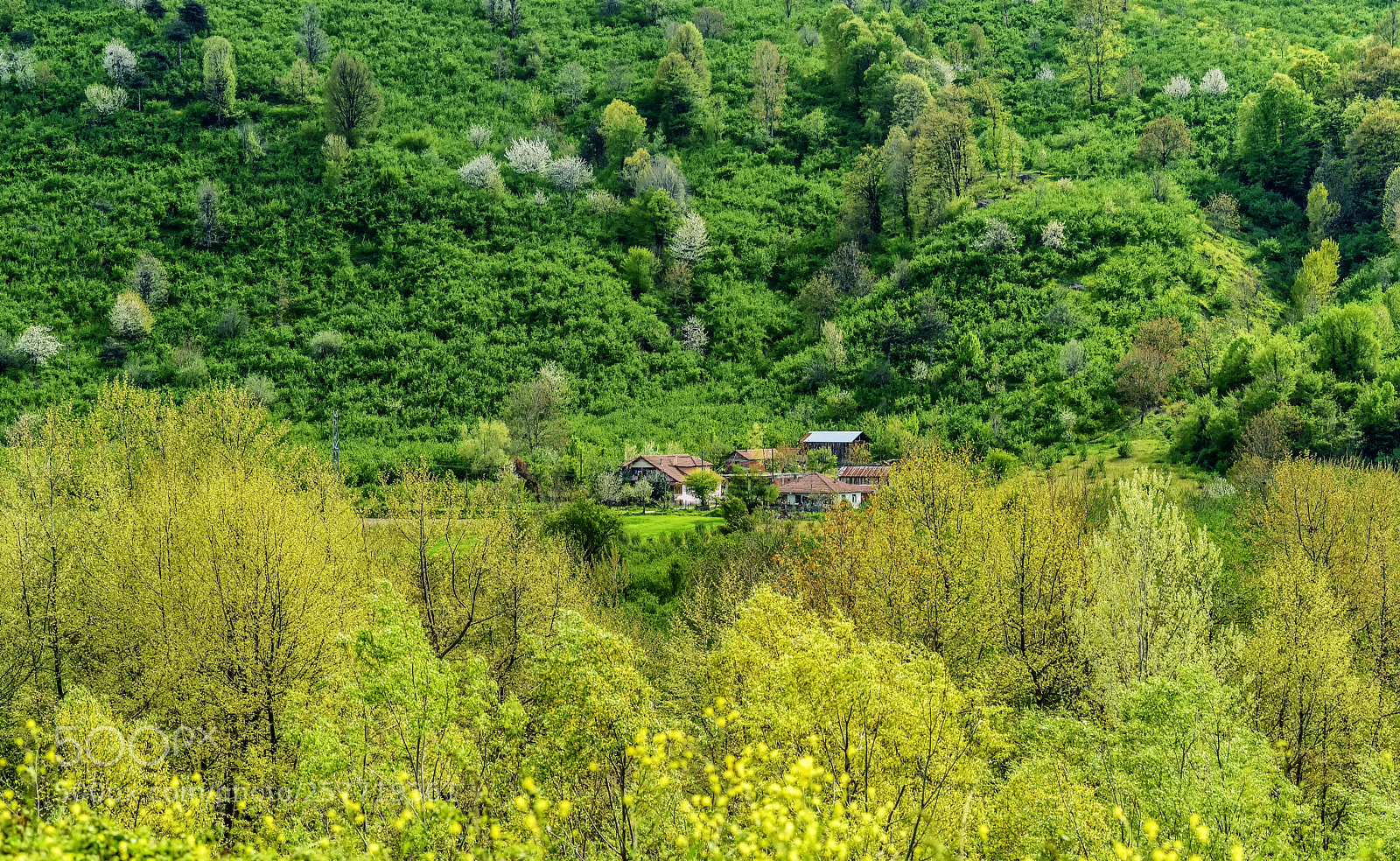 Nikon D800E sample photo. Secret village.... photography