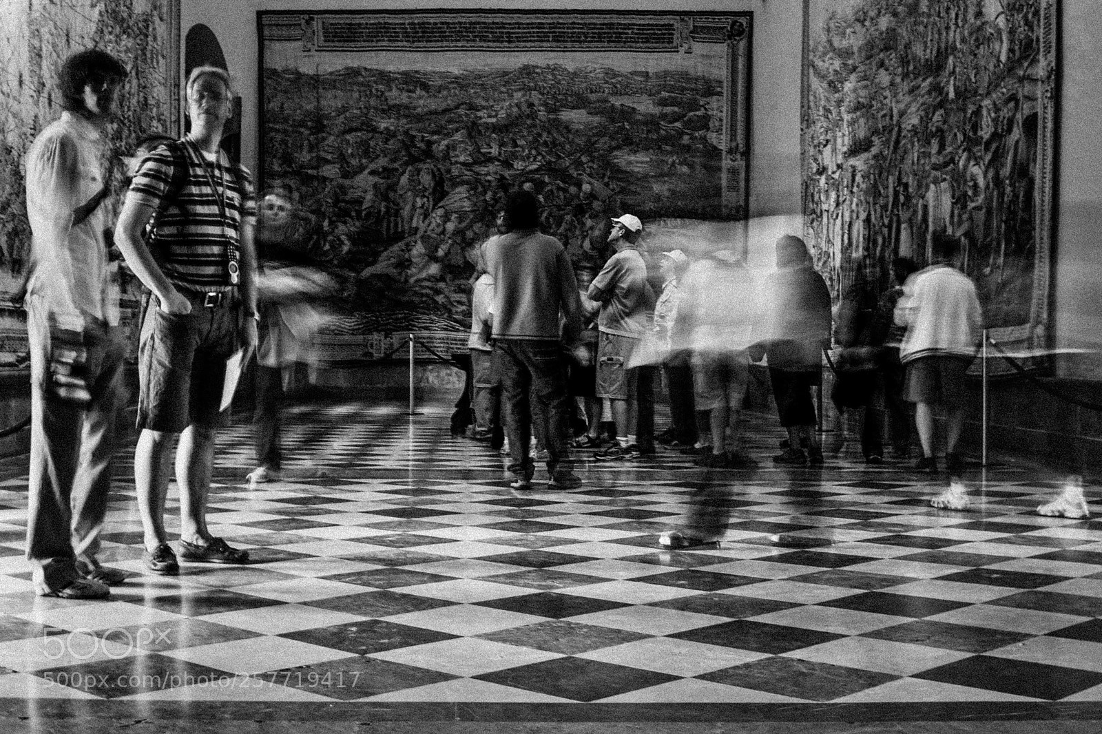 Canon EOS 450D (EOS Rebel XSi / EOS Kiss X2) sample photo. Alcazar, seville photography