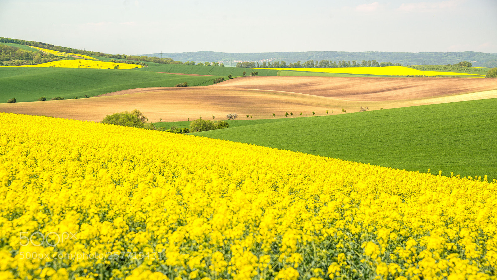 Nikon D610 sample photo. Southern moravia fields photography