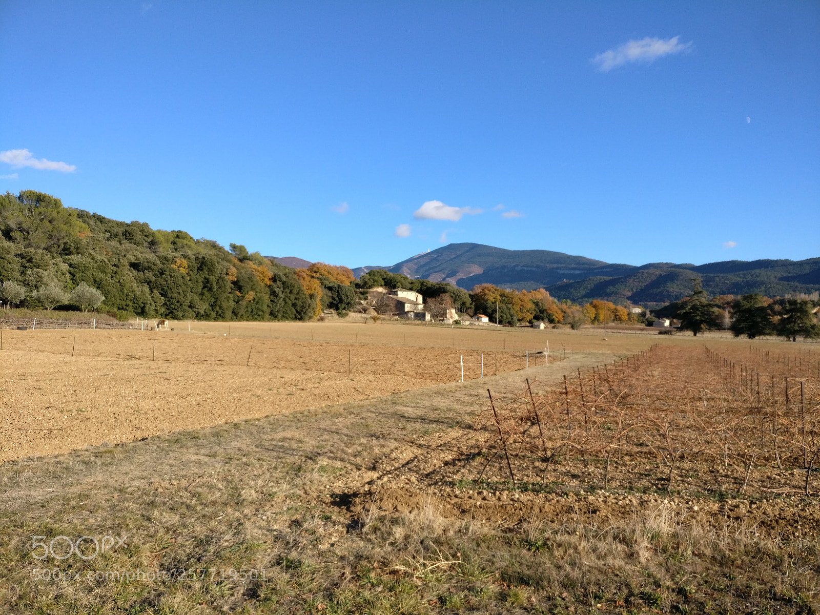 OnePlus A3003 sample photo. Img_20171126_151844.jpg photography