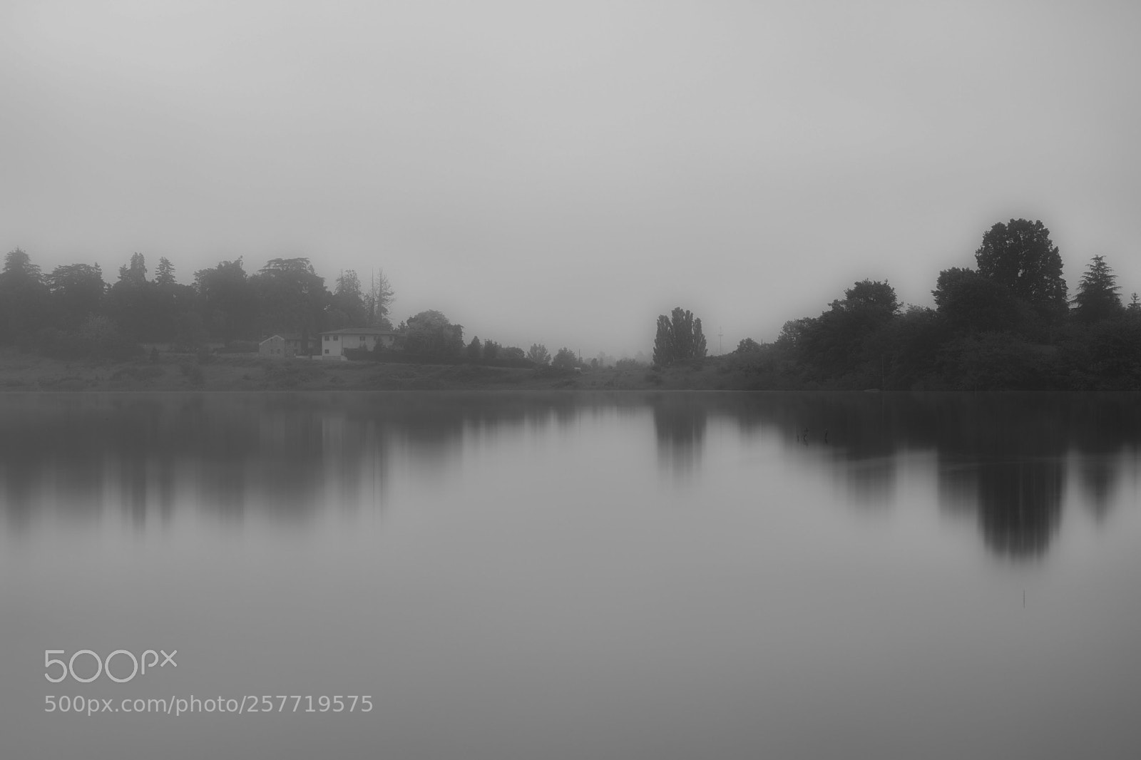 Nikon D5200 sample photo. Fog photography