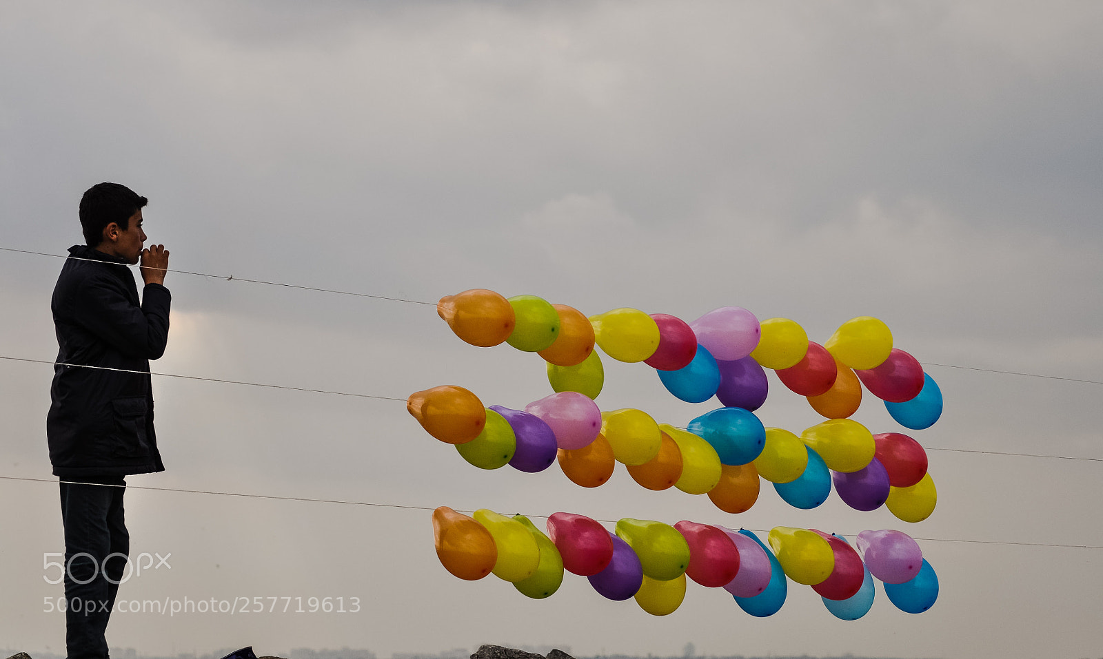 Nikon D90 sample photo. Untitled photography