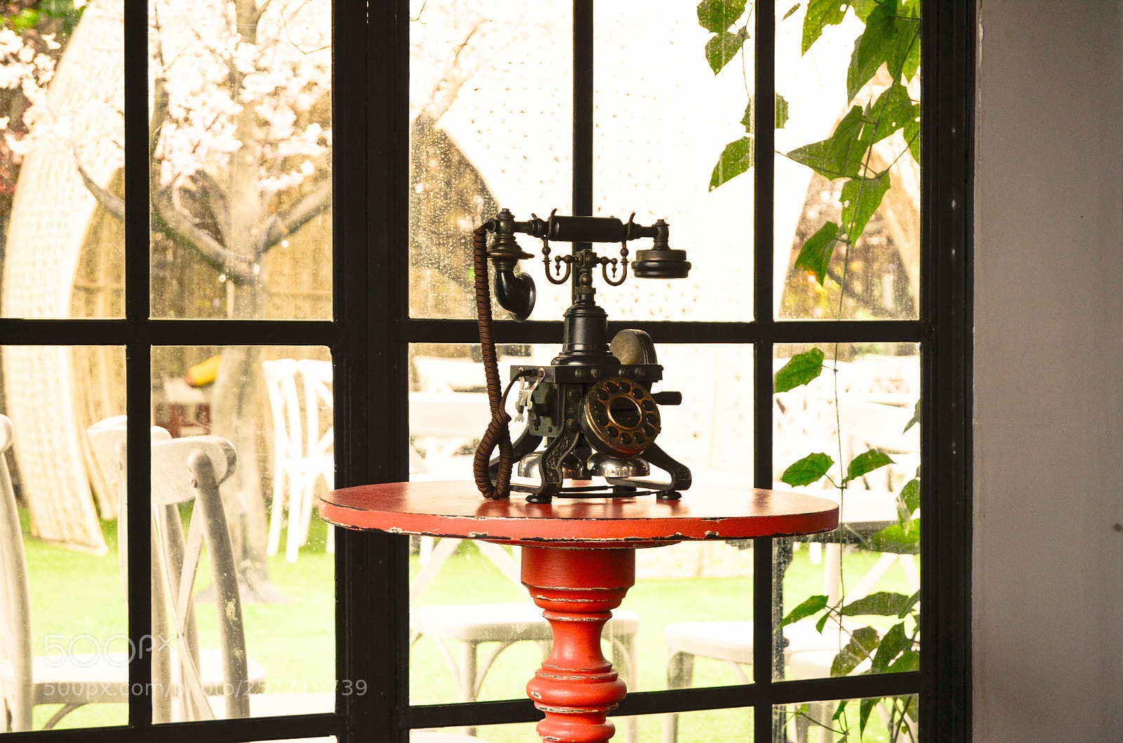 Nikon D5100 sample photo. Circa phone photography
