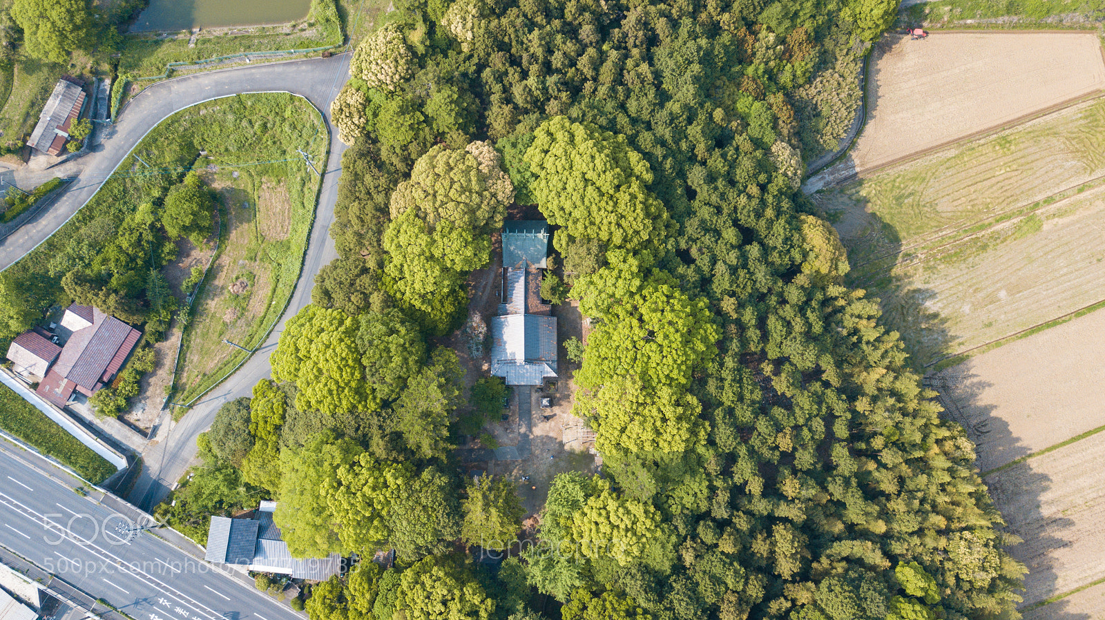 DJI FC220 sample photo. A view of shrine photography