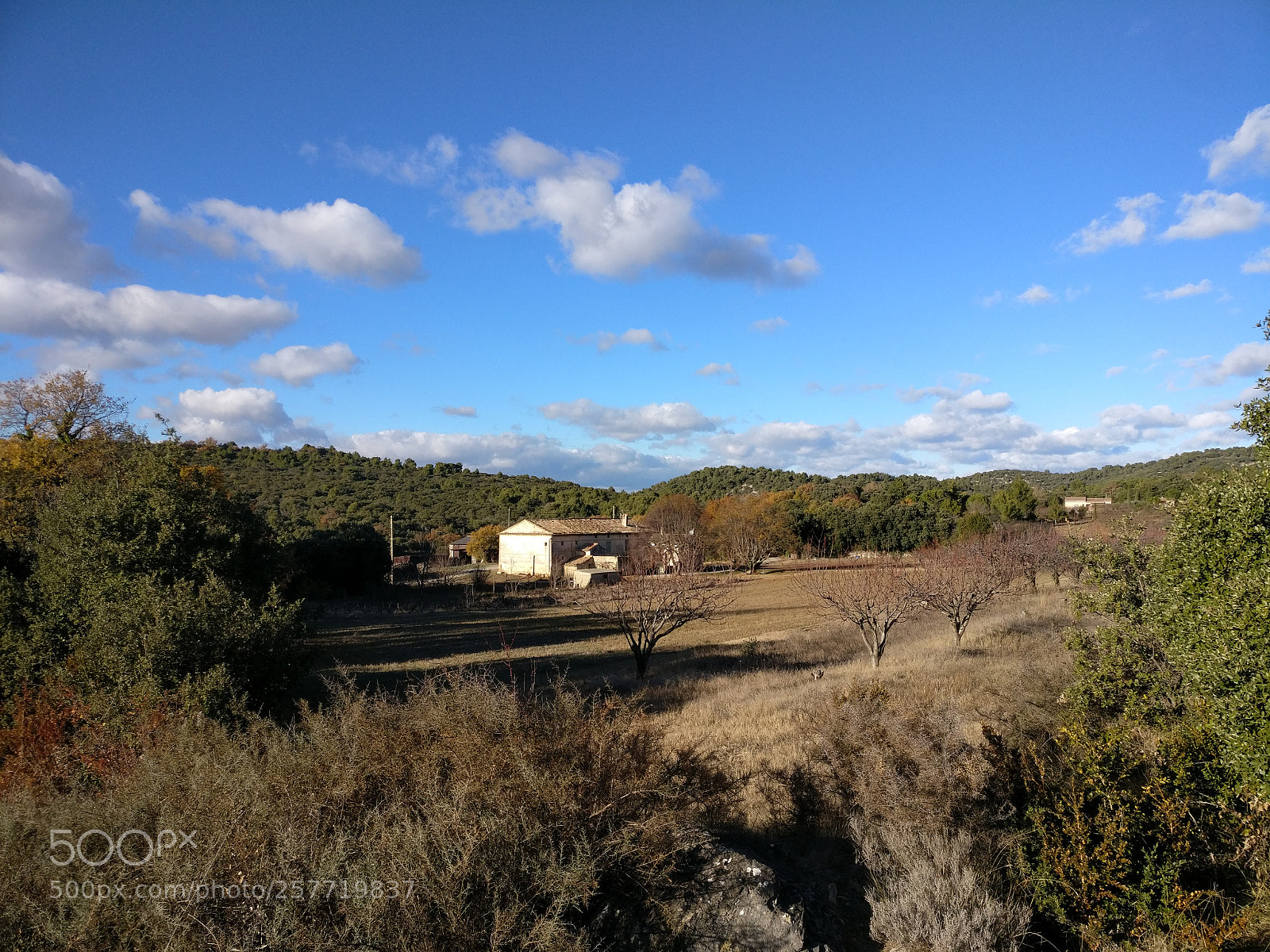 OnePlus A3003 sample photo. Img_20171126_150839_001.jpg photography