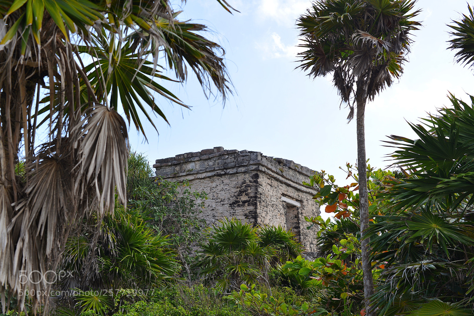Nikon D600 sample photo. Tulum, mayan ruins photography