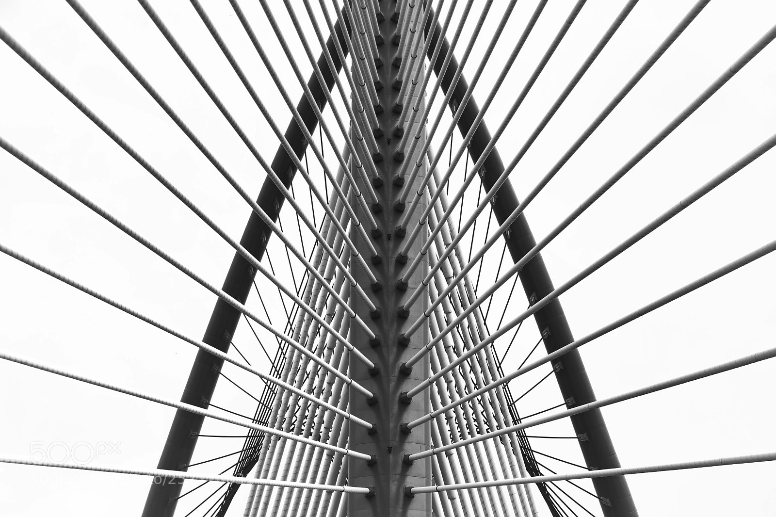 Nikon D3200 sample photo. Heart of steel photography