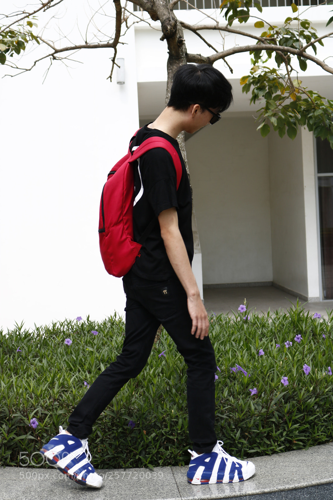 Canon EOS 750D (EOS Rebel T6i / EOS Kiss X8i) sample photo. Mg photography