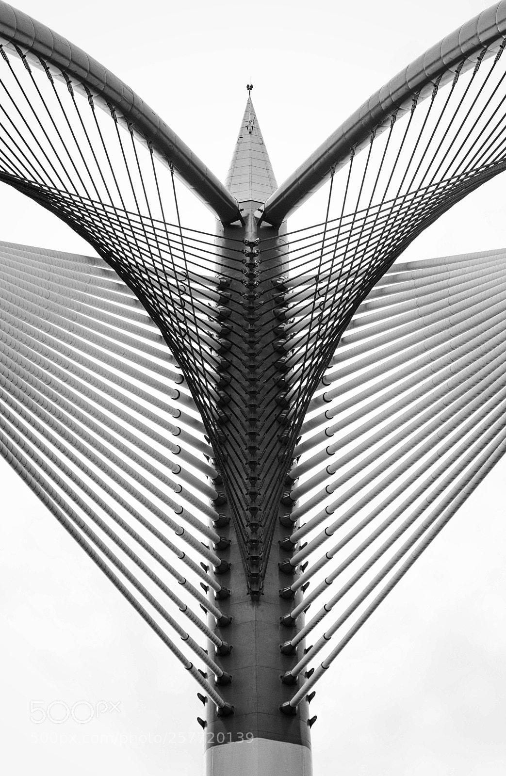 Nikon D3200 sample photo. Heart of steel photography
