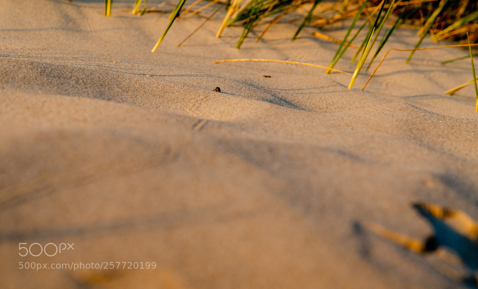 Nikon D7000 sample photo. The long and winding photography