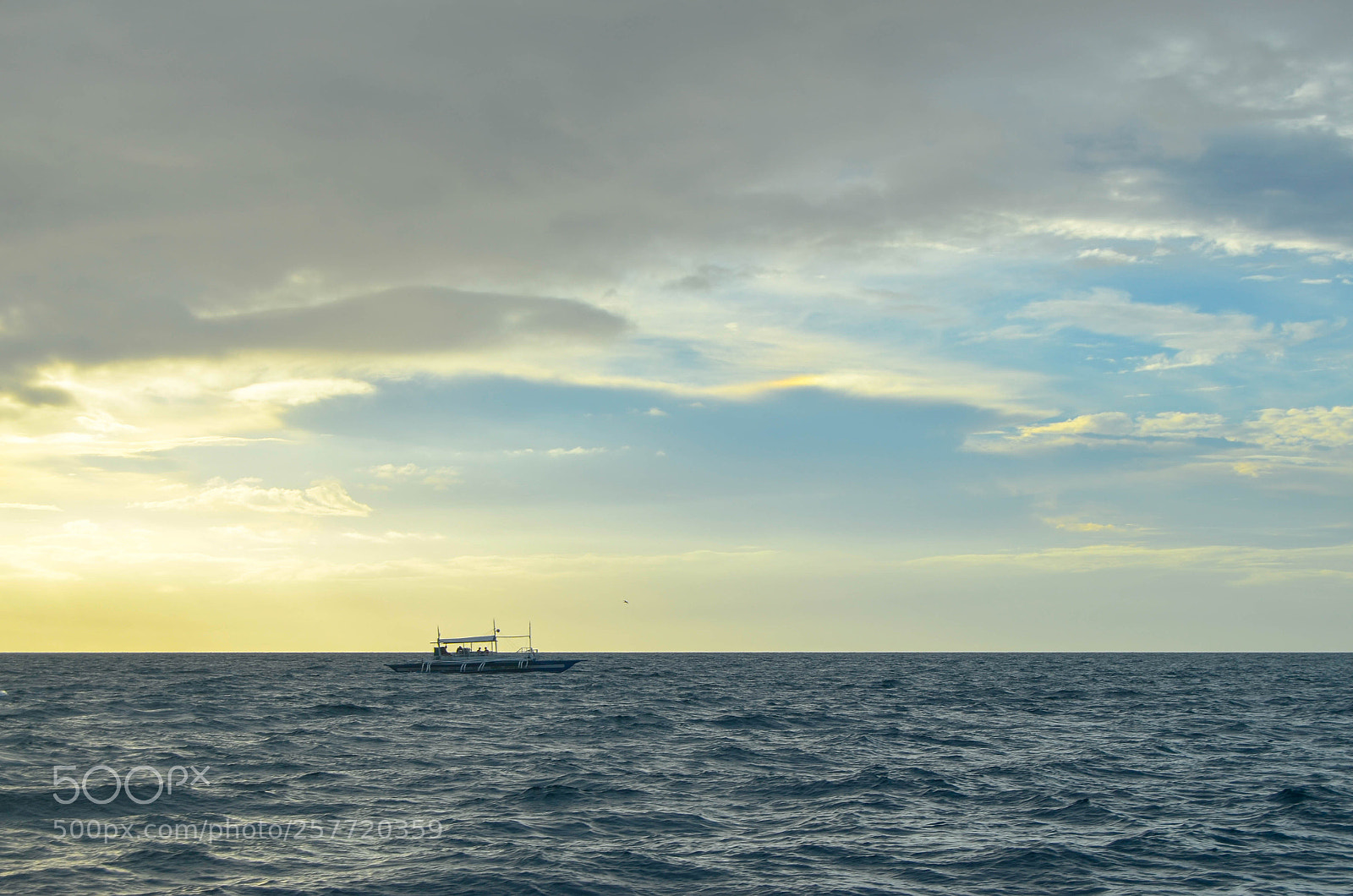 Nikon D5100 sample photo. Alone photography
