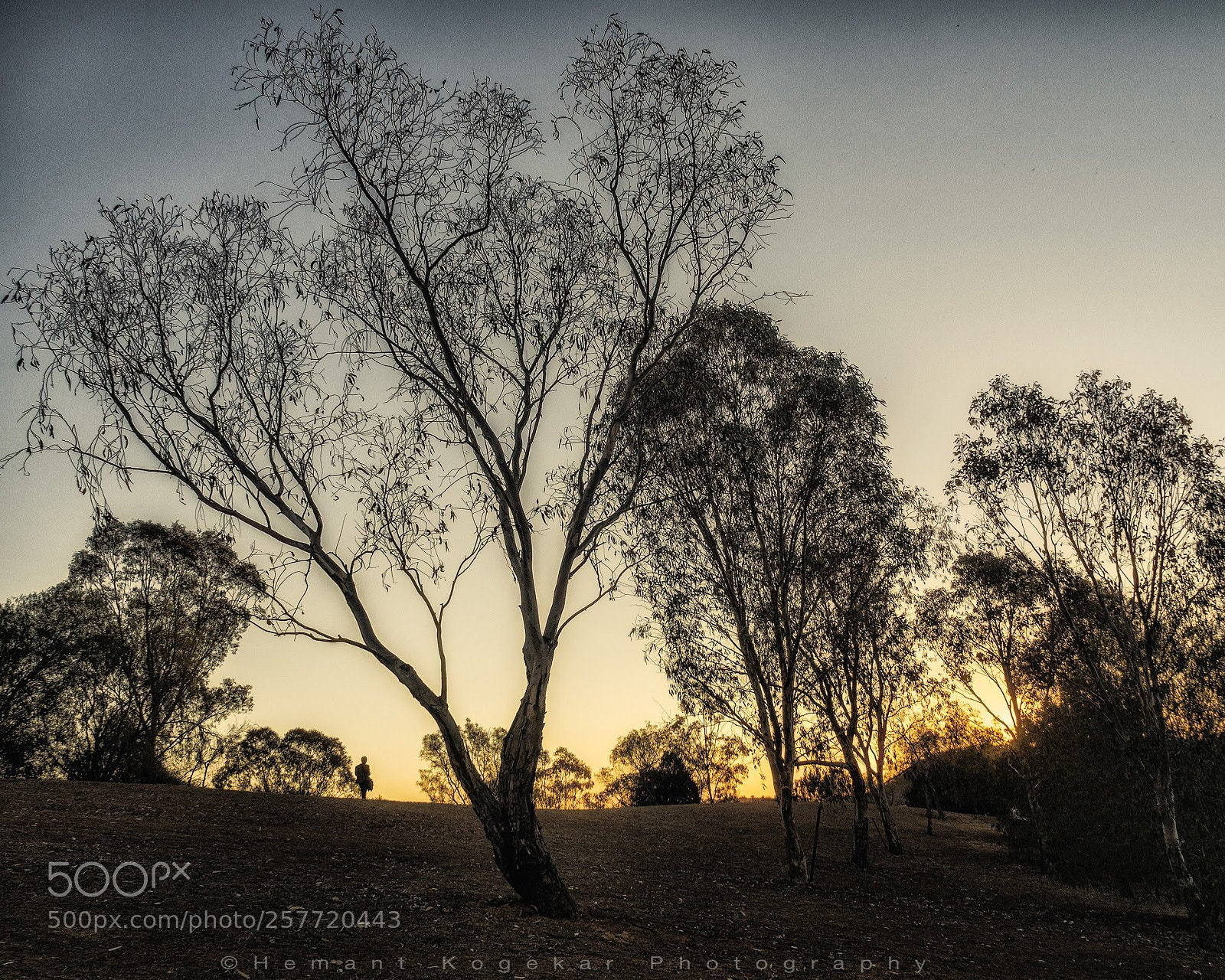 Olympus OM-D E-M5 II sample photo. At dusk photography
