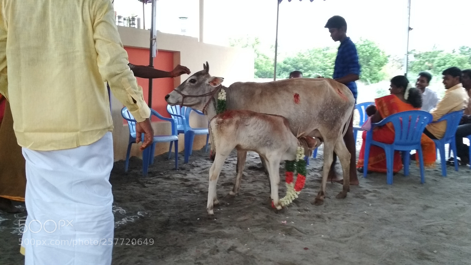 Xiaomi Redmi 4 Pro sample photo. Untitled photography
