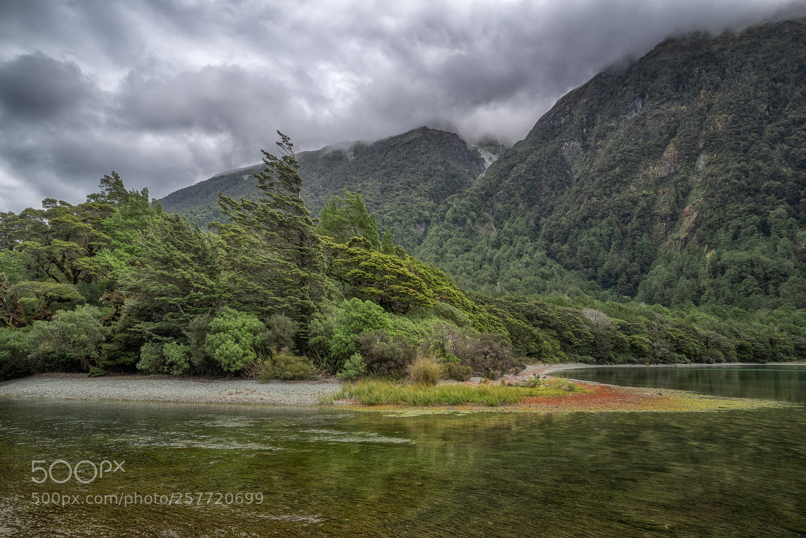 Pentax K-1 sample photo. Lake gunn south bank photography