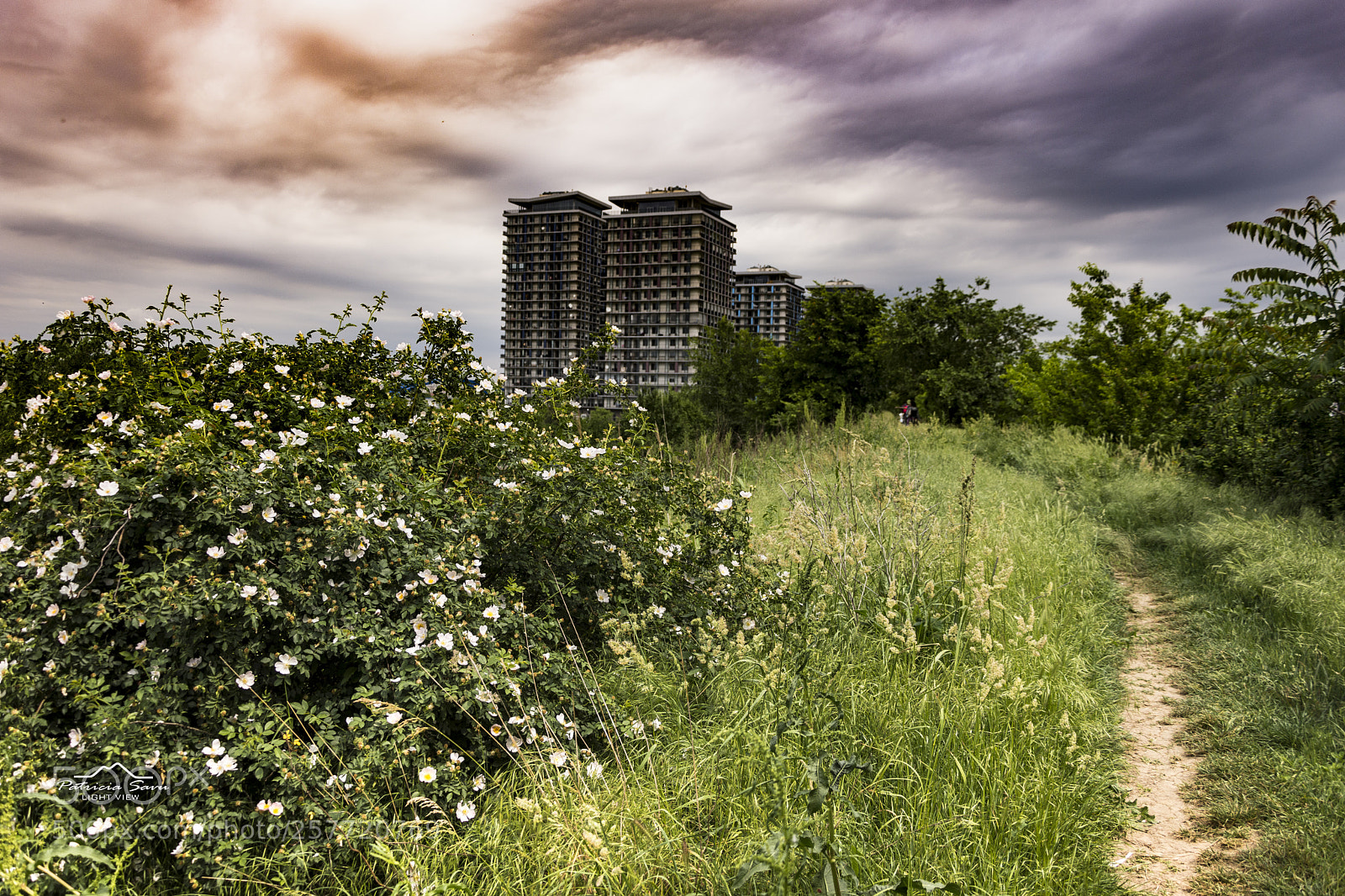 Nikon D7200 sample photo. City view! photography