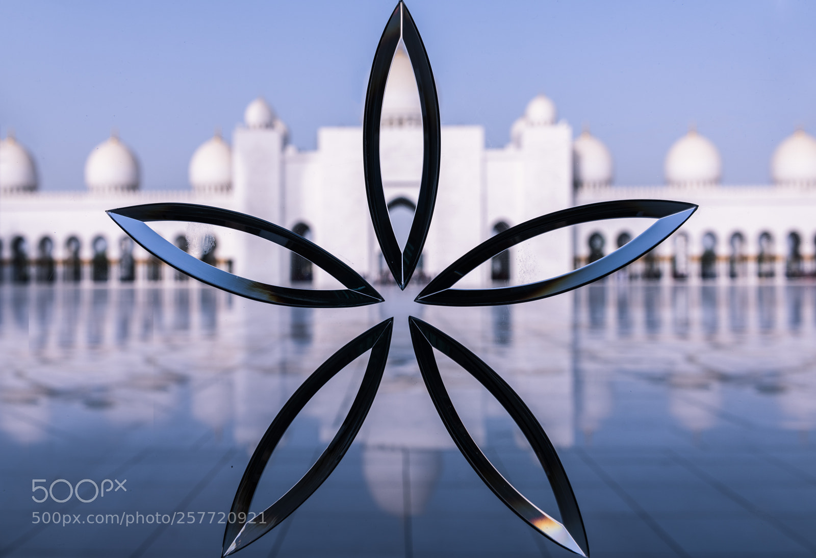 Nikon D810 sample photo. Shining star of abu photography