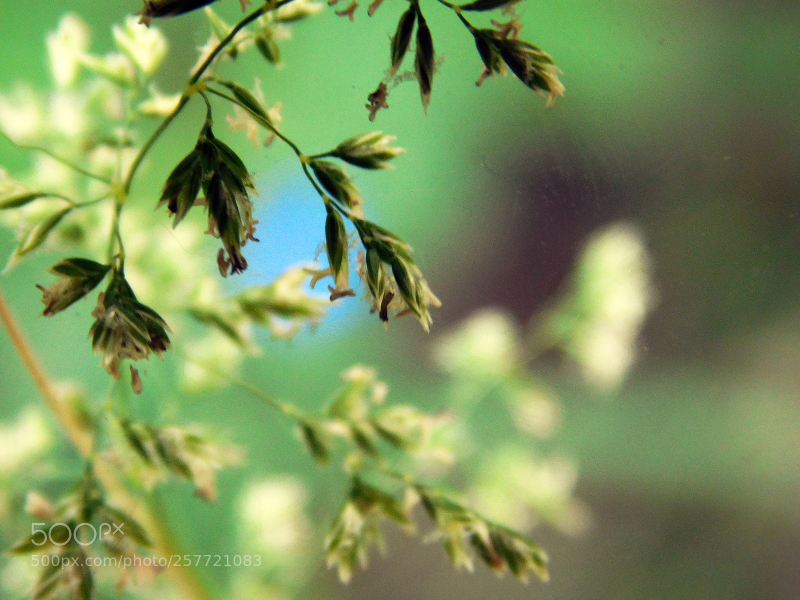 Nikon Coolpix L840 sample photo. Still nature photography