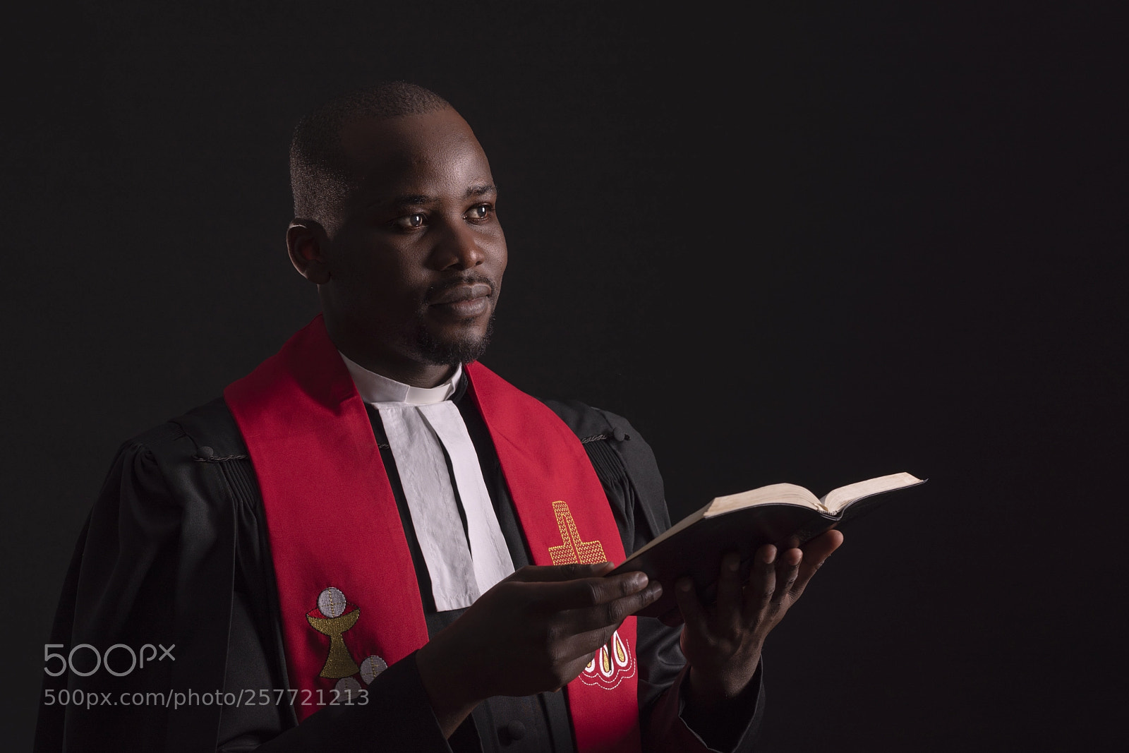 Nikon D750 sample photo. Full regalia photography
