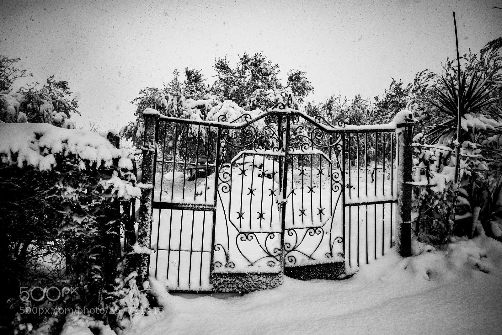 Nikon D610 sample photo. Monterotondo photography