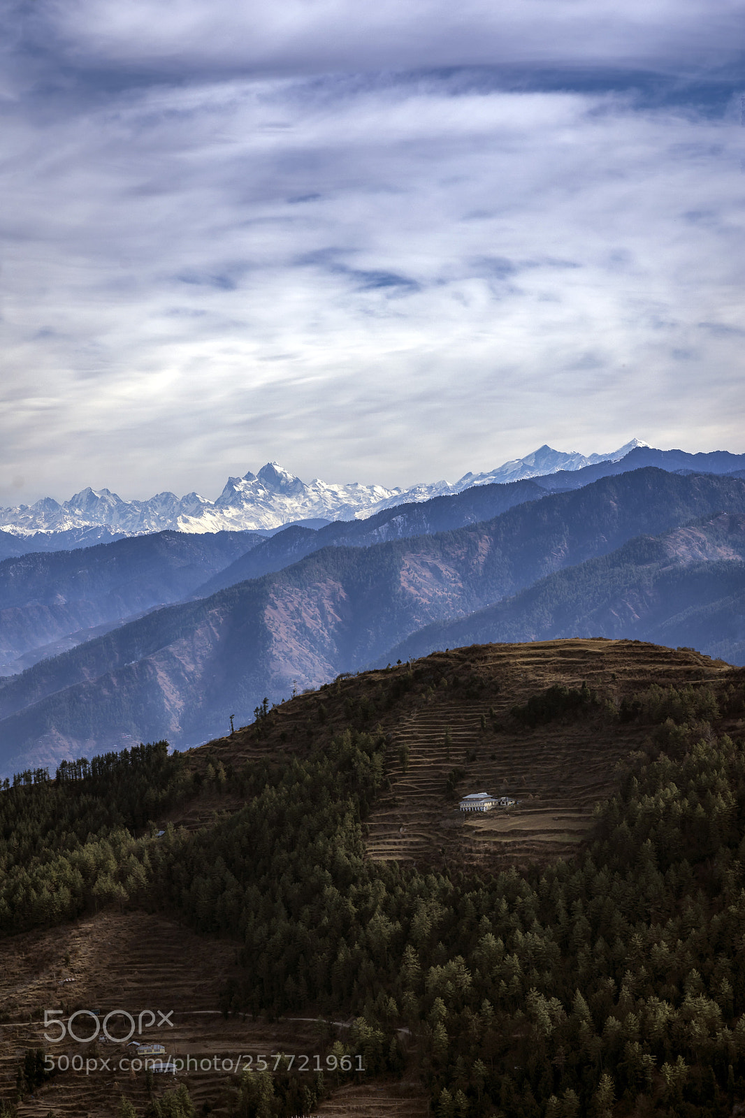 Nikon D7200 sample photo. Life at top photography