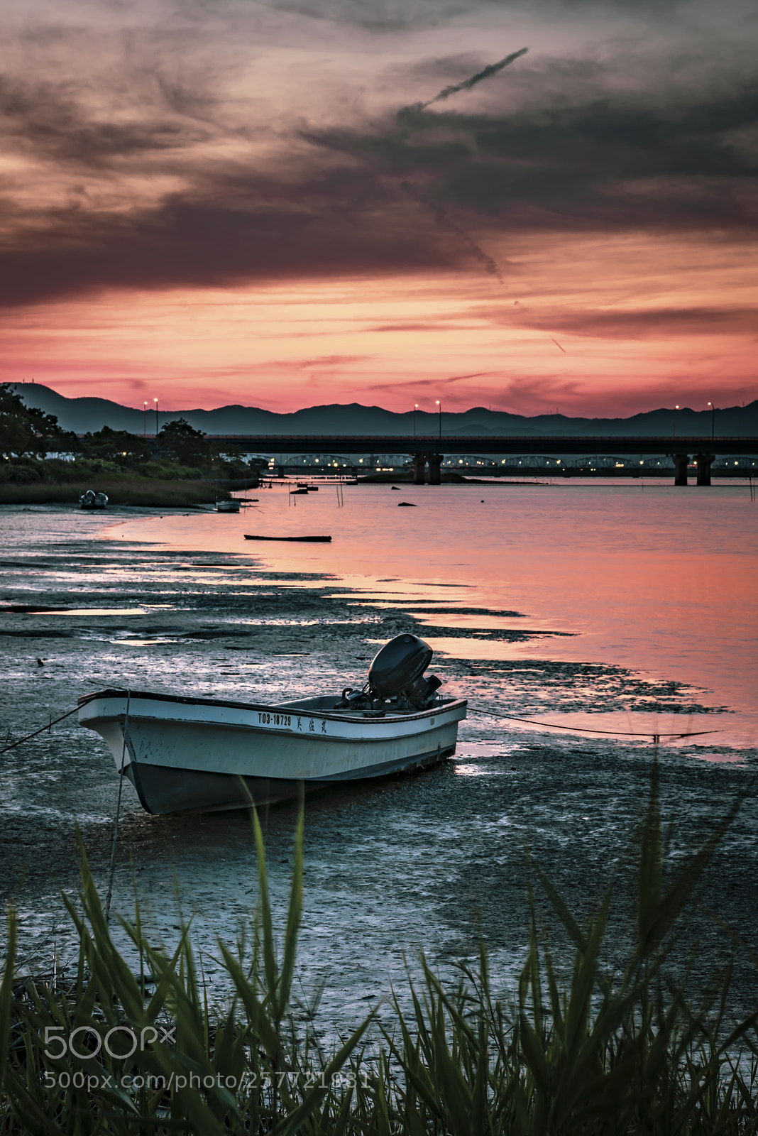 Nikon D750 sample photo. Twilight river photography