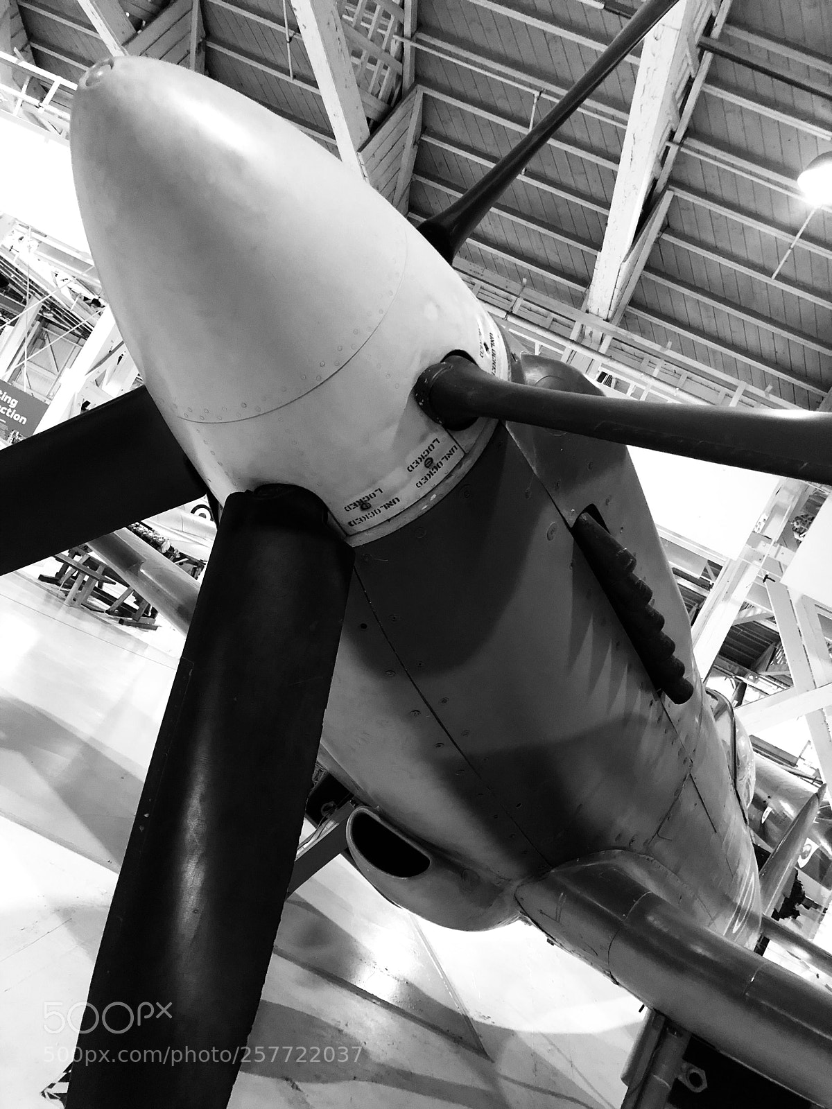 Apple iPhone 8 Plus sample photo. Spitfire photography