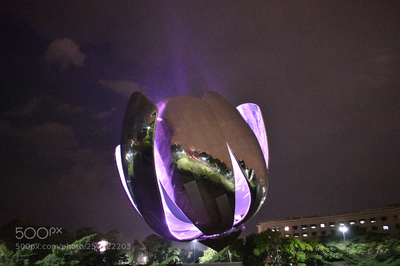 Nikon D3400 sample photo. Floralis genérica + ceibo photography