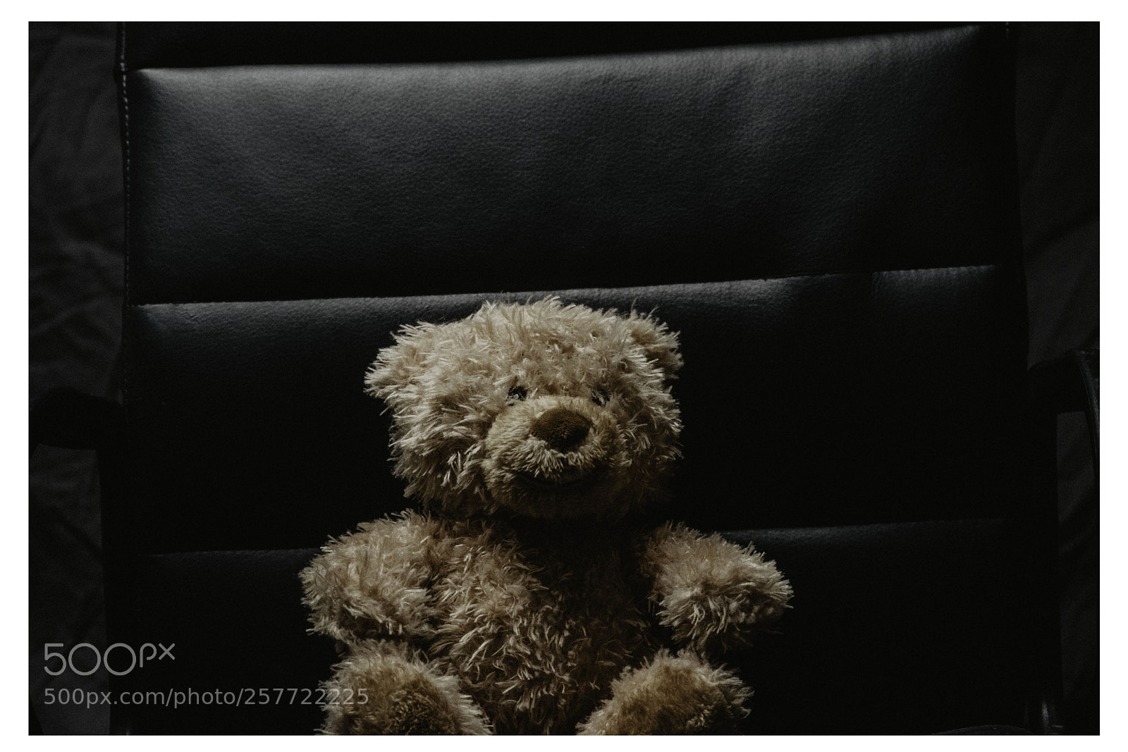 Nikon D5300 sample photo. Test of light photography
