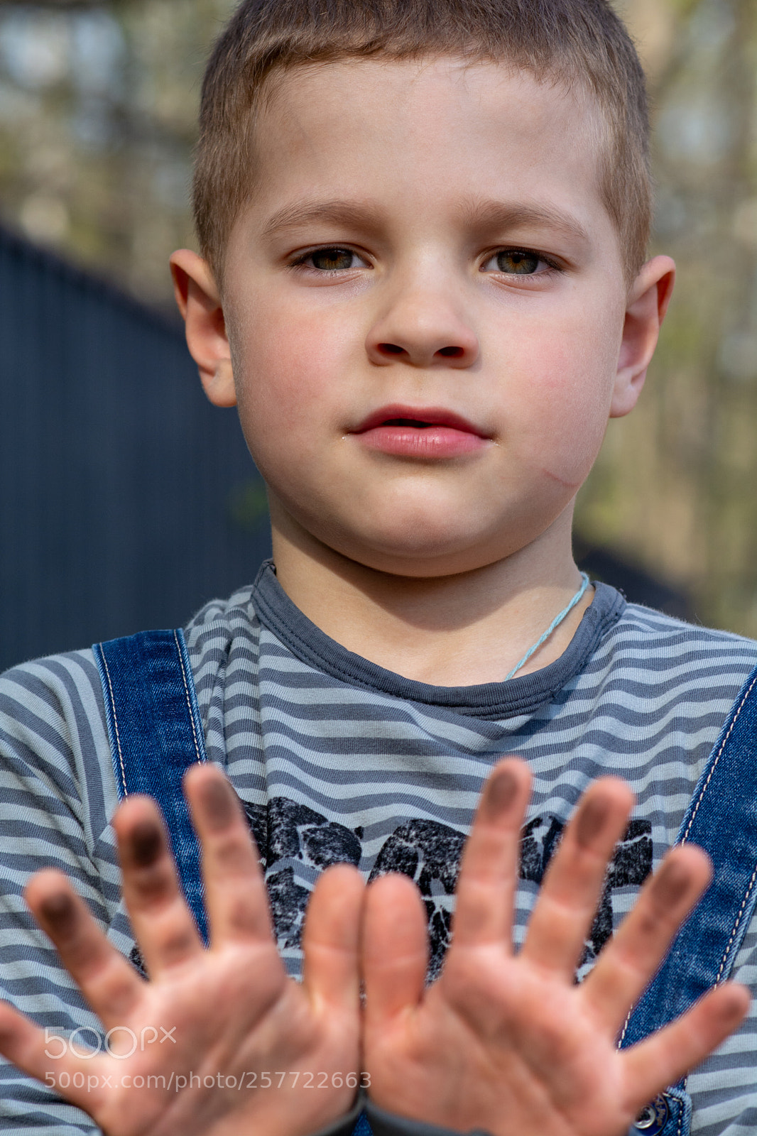 Nikon D5200 sample photo. 1.jpg photography