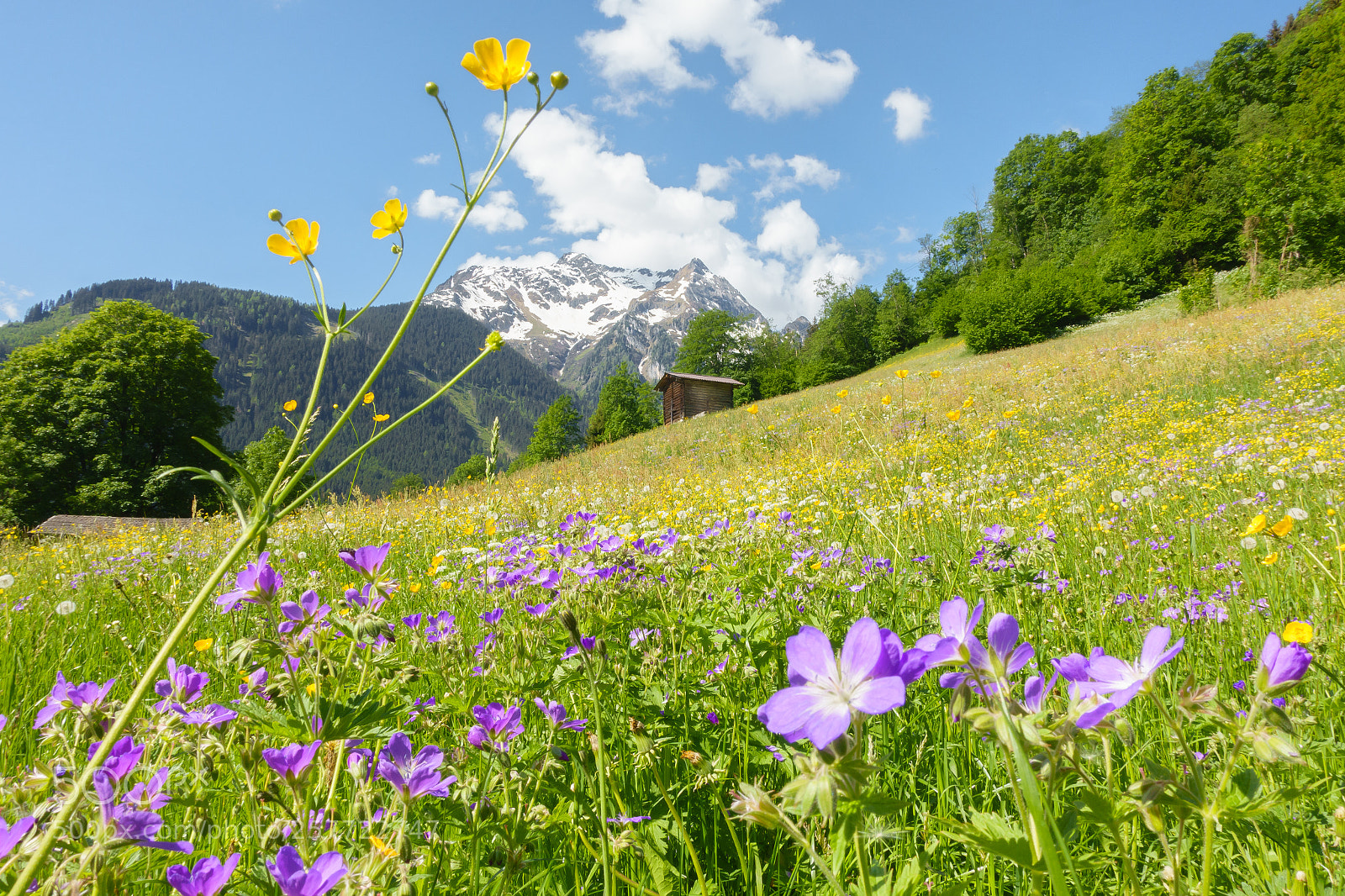 Sony Cyber-shot DSC-RX100 III sample photo. Blick auf den gr photography