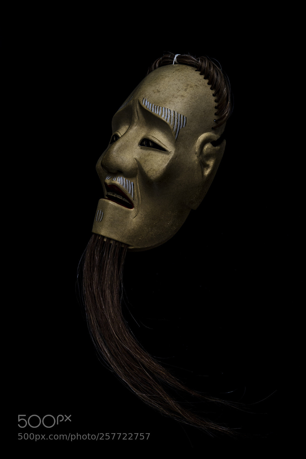 Nikon D5 sample photo. 小牛尉 photography