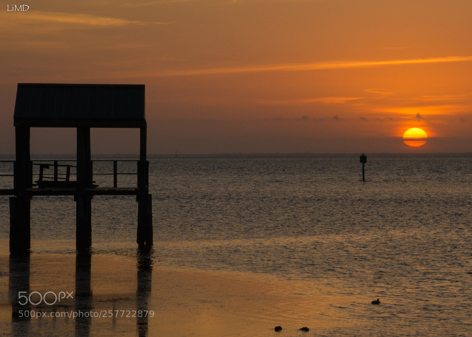 Nikon D600 sample photo. Sunrise on the pier photography