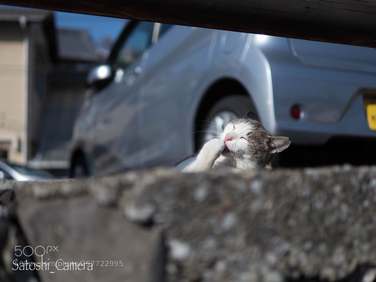 Olympus OM-D E-M1 Mark II sample photo. Untitled photography