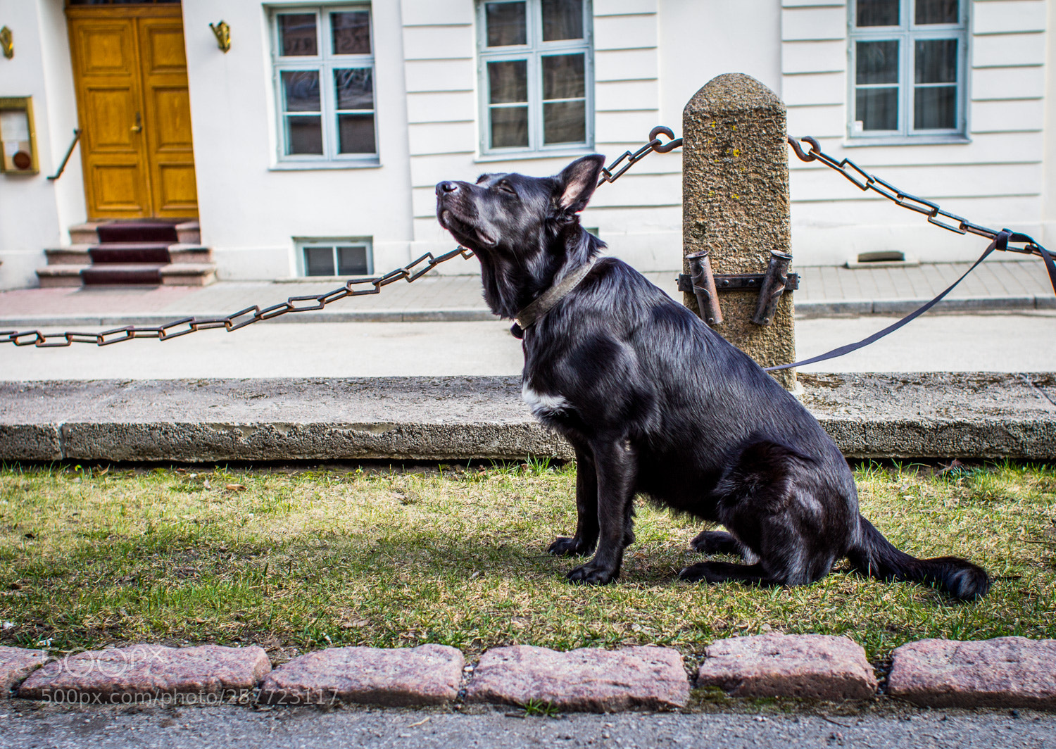 Canon EOS 600D (Rebel EOS T3i / EOS Kiss X5) sample photo. Tartu photography