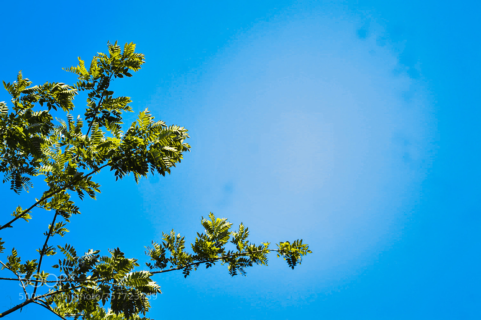 Nikon D3200 sample photo. Endings photography