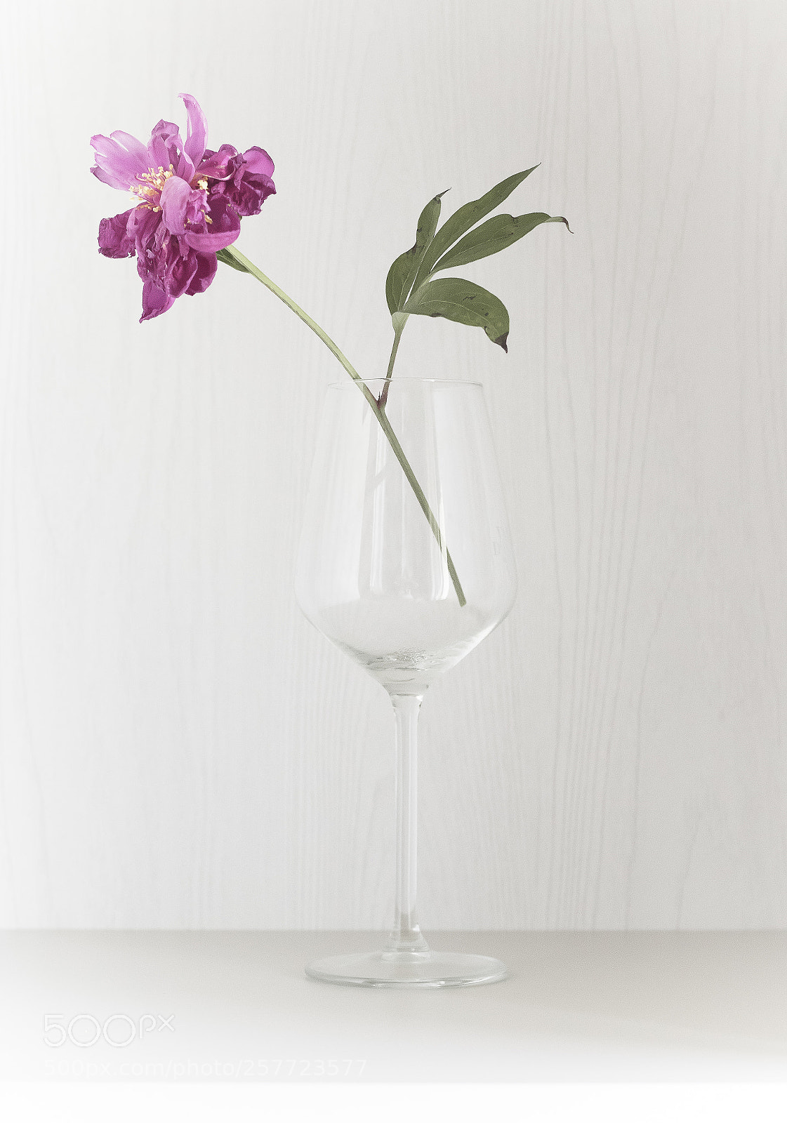 Canon EOS 7D Mark II sample photo. Home photography