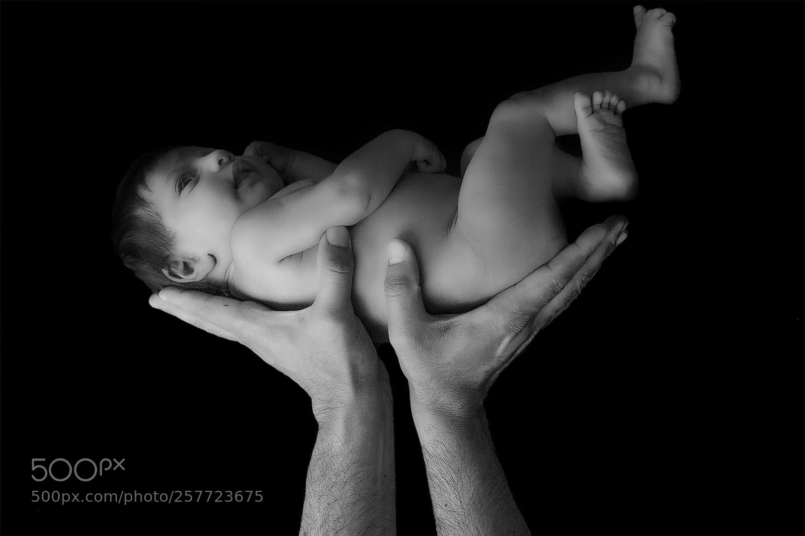 Canon EOS 5DS R sample photo. B&w newborn photography