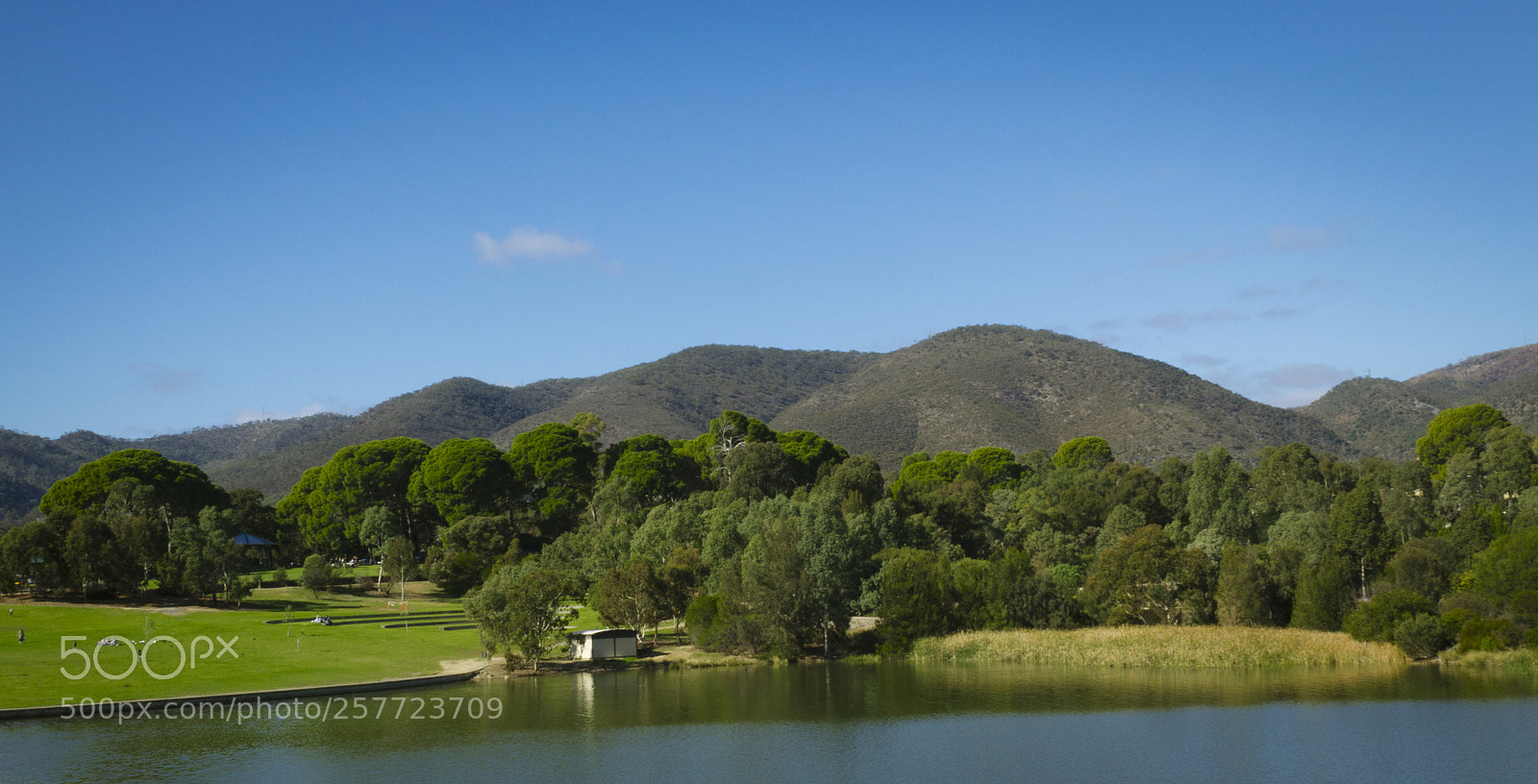 Canon EOS 1200D (EOS Rebel T5 / EOS Kiss X70 / EOS Hi) sample photo. Thorndon park reserve photography