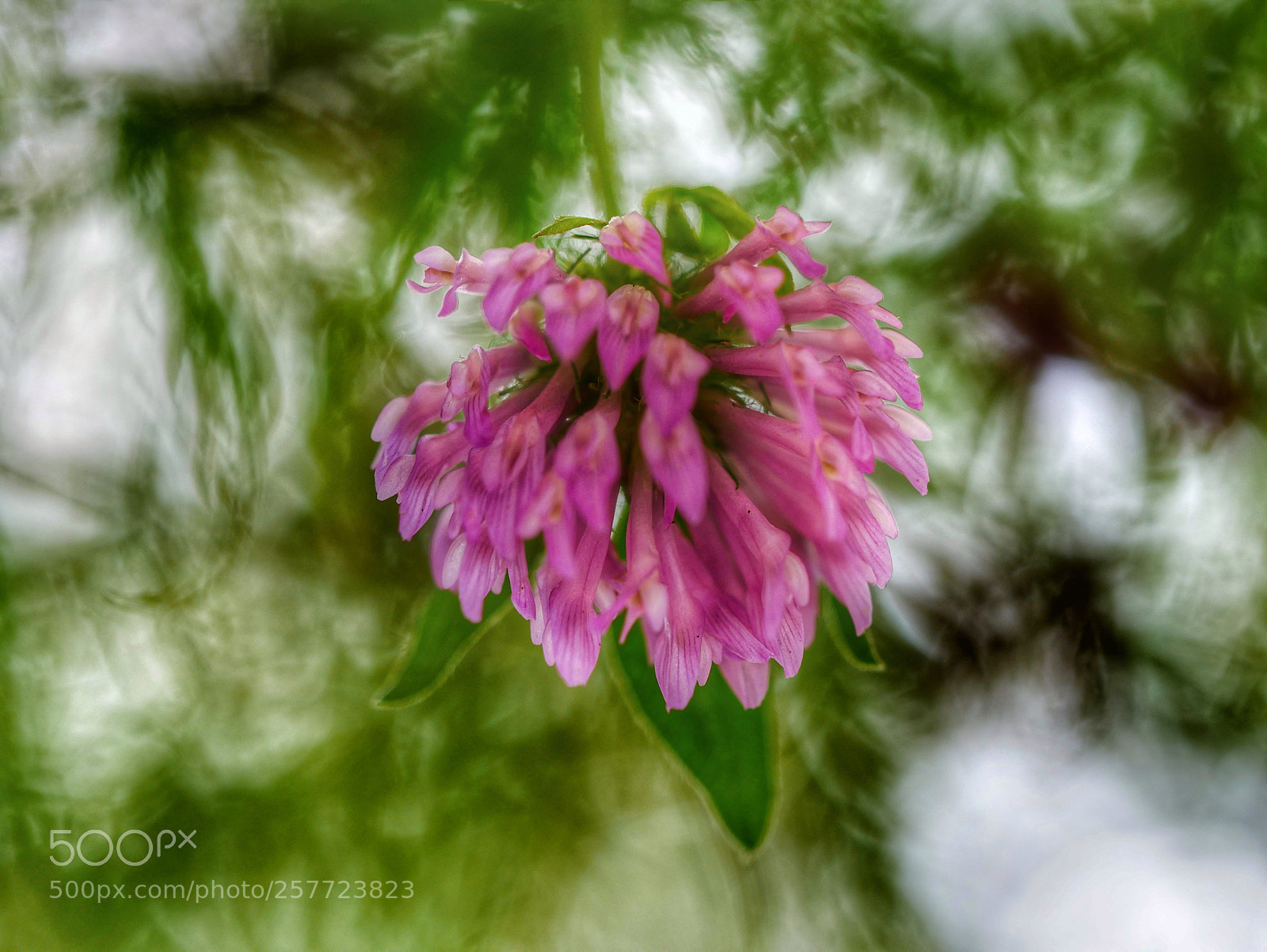Panasonic Lumix DMC-GX85 (Lumix DMC-GX80 / Lumix DMC-GX7 Mark II) sample photo. . photography