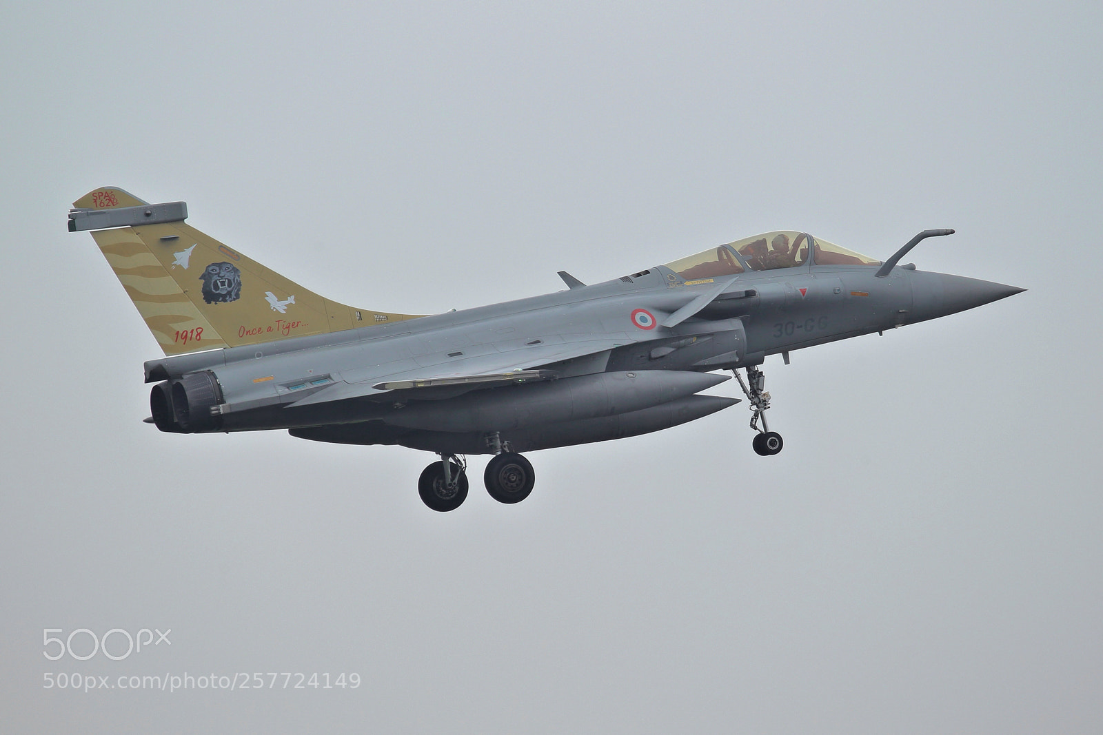 Canon EOS-1D Mark IV sample photo. Frisian flag rafale tiger photography