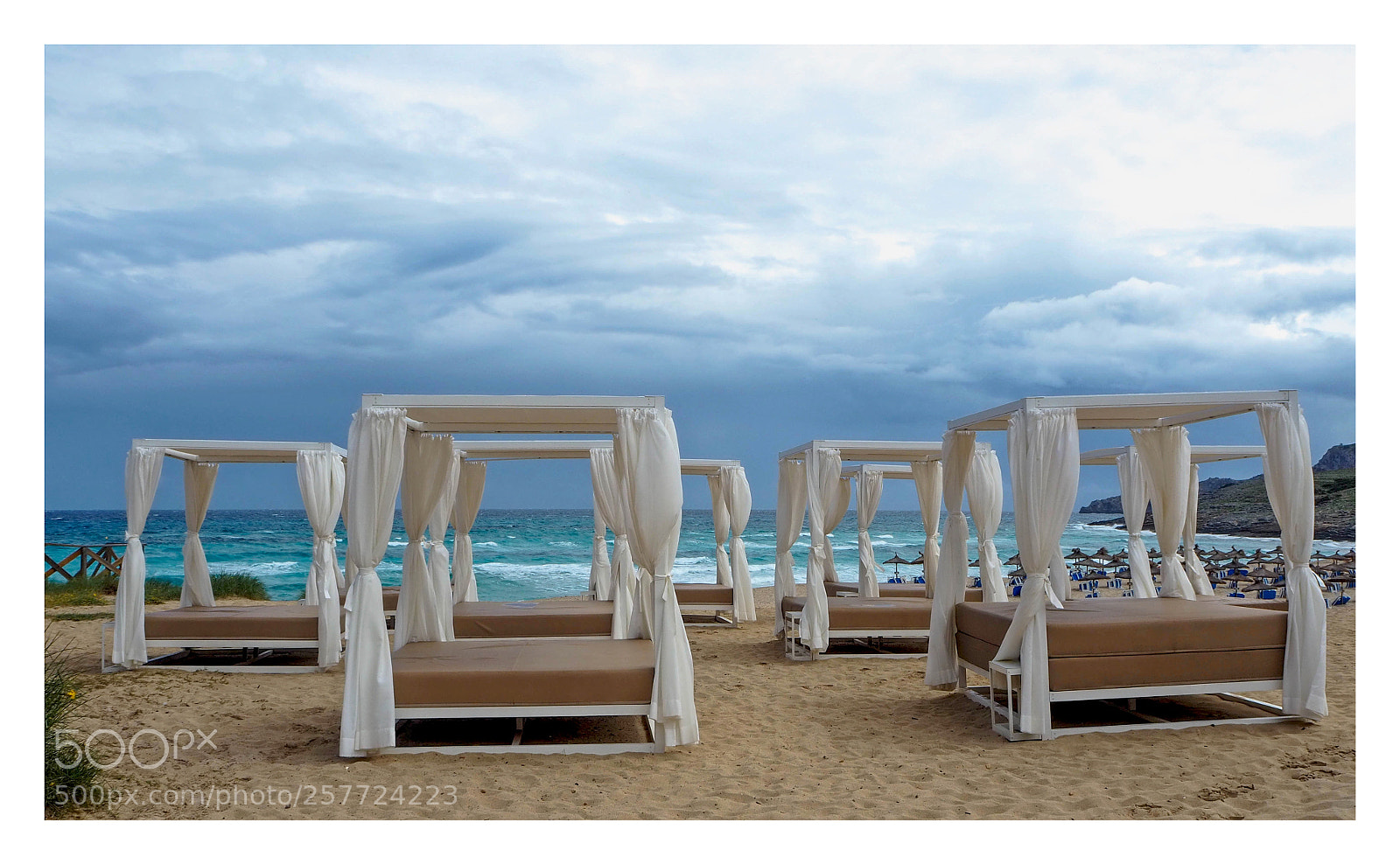 Olympus OM-D E-M10 III sample photo. Hello summer photography