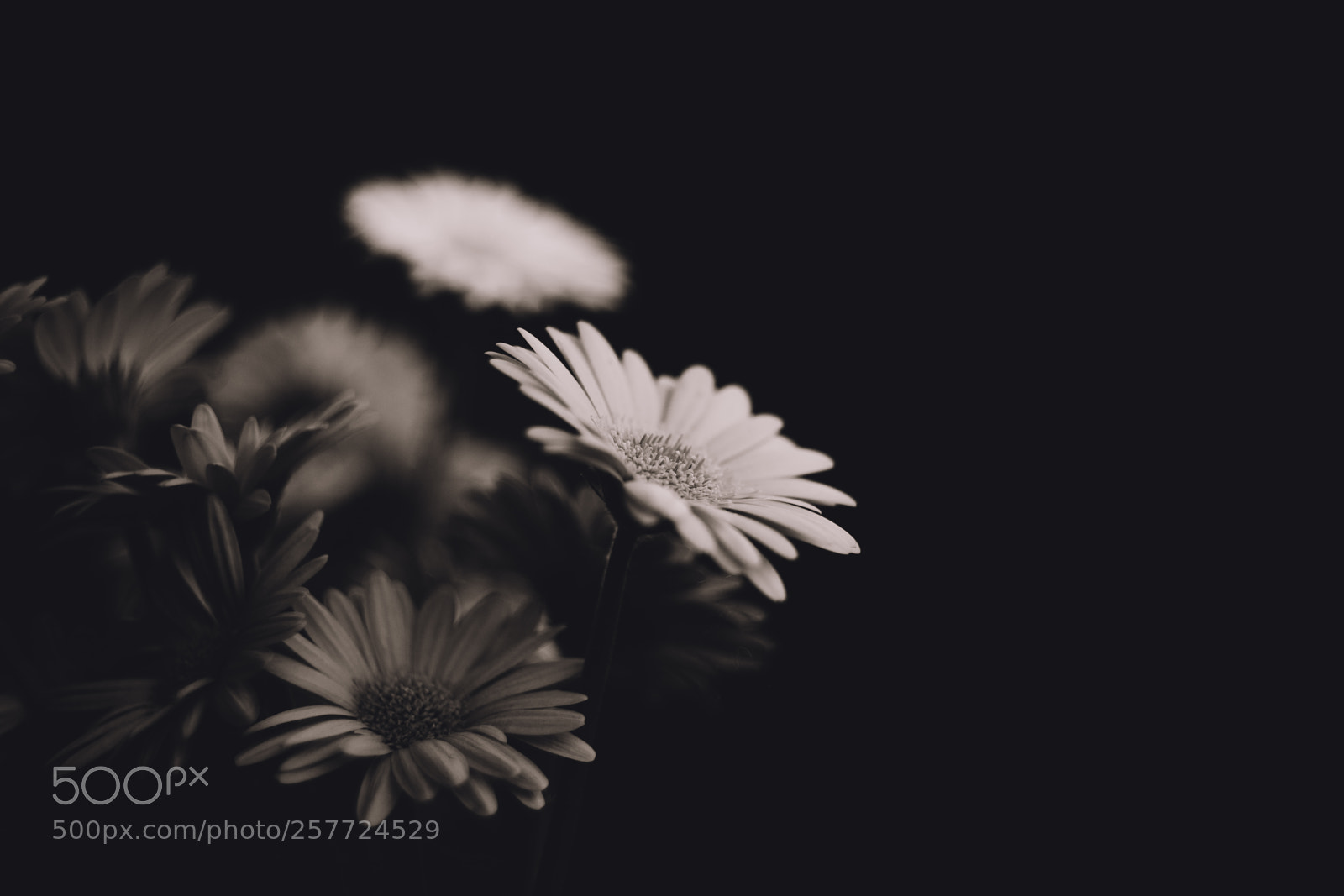 Canon EOS 6D Mark II sample photo. Mater photography