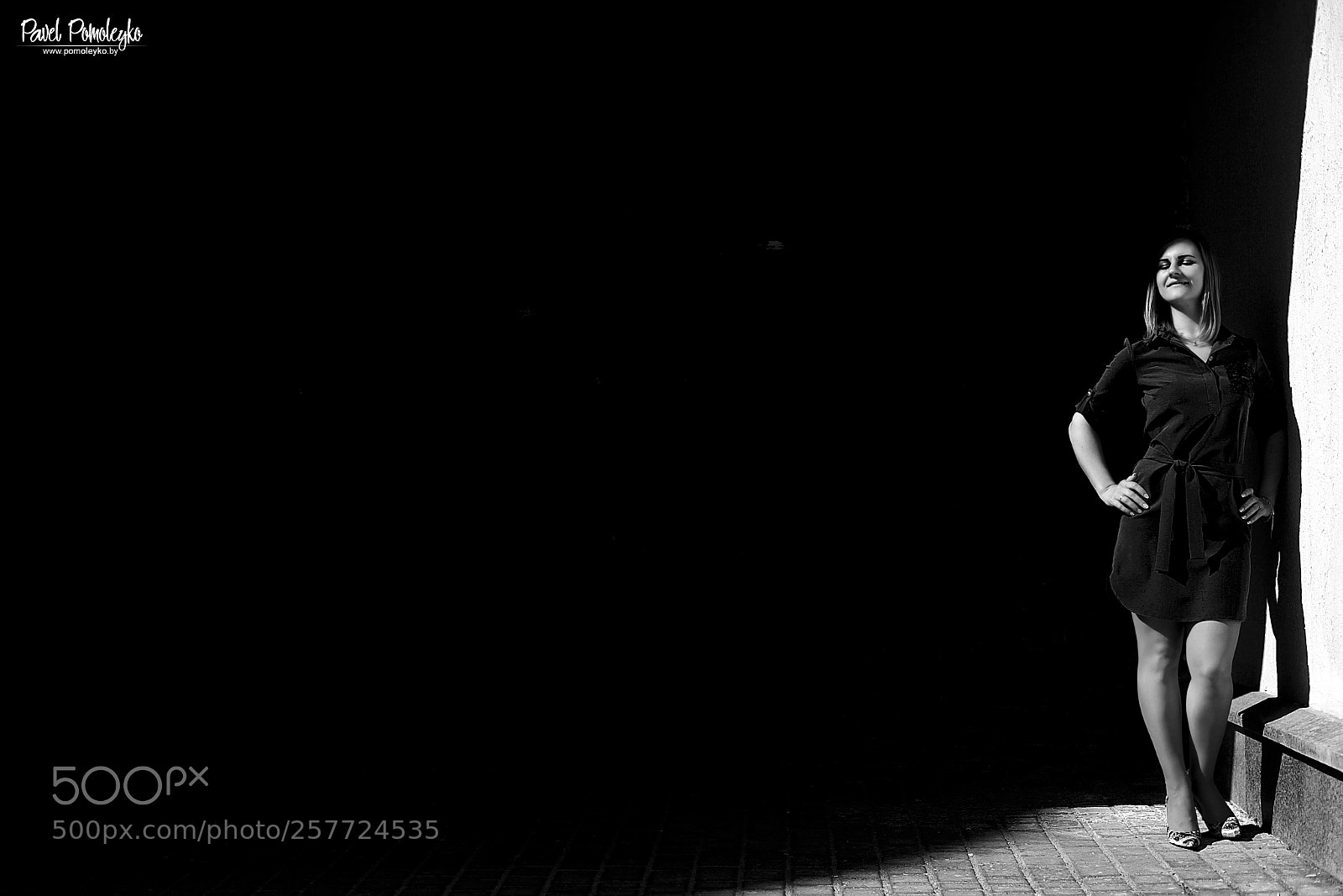 Canon EOS 5D Mark II sample photo. In the monochrome sunlight photography
